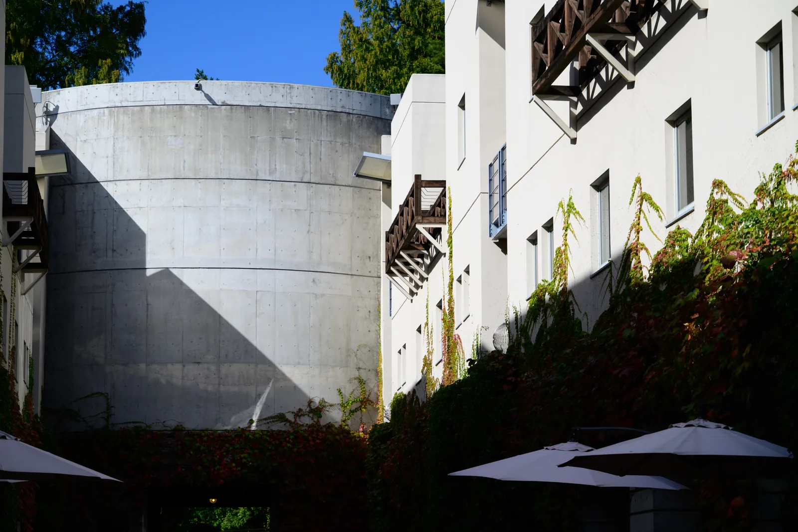 ツタの絡まる建物の一部を望遠で切り取った写真